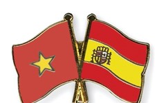 越南国会主席王廷惠致电祝贺西班牙国庆