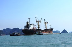 阮文体部长：交通运输部将建设沿海运输发展的特殊机制