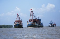 越南严厉打击在外国海域的非法捕鱼活动
