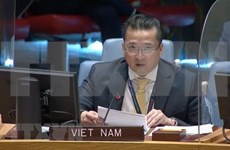 越南与联合国安理会：越南支持对科索沃问题的长期和平解决方案