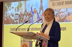 比利时越南协会声援越南橙剂受害者