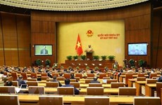 越南第十五届国会第二次会议：就司法和反腐工作展开讨论