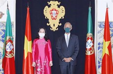 越南国家副主席武氏映春会见葡萄牙总统