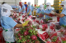 越南蔬果进入欧盟市场的余地仍大