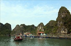 广宁省达到安全标准的旅游服务机构可迎接省外游客