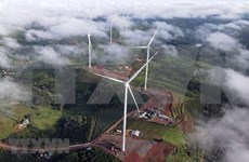 得农省投资逾2.6万亿越盾的两风电项目已完工