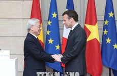 法国总统：越南在法国政策中具有特别的地位