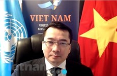 越南与联合国安理会：越南对波黑的复杂局势表示关切