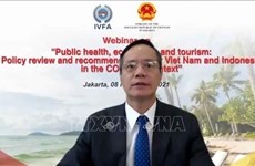 越南与印尼增进医疗、经济和旅游领域的交流与合作
