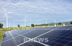 越南一家能源集团荣获2021年度太阳能行业奖