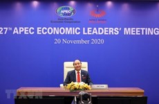 越南国家主席阮春福将出席第28届亚太经合组织领导人会议