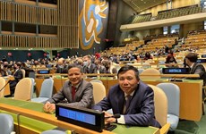 阮红操大使连任联合国国际法委员会委员：彰显国际社会对越南的支持和信任