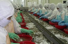 2021年越南对韩国出口虾类有望增长