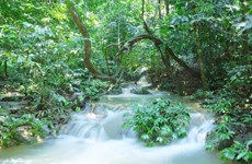 越南菊芳国家公园荣获亚洲领先国家公园奖