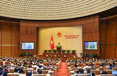 越南十五届国会二次会议为经济复苏和发展注入动力