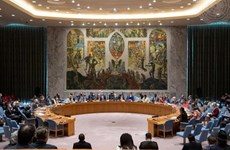 越南与联合国安理会：越南愿为共同维护国际和平与安全以及预防冲突作出贡献