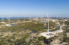 功率252兆瓦的B&T集群风电场竣工