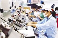 越南民营企业实现数量与质量双提升