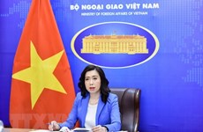 外交部发言人：越南始终把促进性别平等放在优先位置