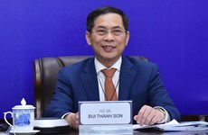 外长裴青山：越南当选联合国教科文组织执行局委员开辟新的发展空间