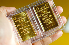 11月19日上午越南国内黄金价格上涨5万越盾