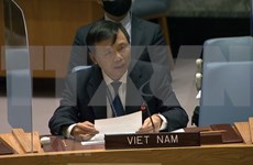 越南与联合国安理会：越南支持努力协助伊拉克应对当前的挑战