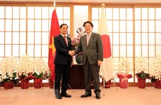 越南外长裴青山与日本外务大臣林芳正举行会谈