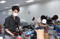 11月份越南复工复产企业数量增长15.2%