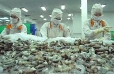 越南虾类对美国出口额猛增