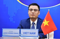 进一步加强越南与欧盟对话沟通 增进双边互相了解