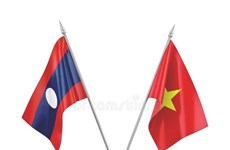 越南外交部代表团赴老挝驻越南大使馆庆祝国庆46周年