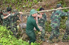 确保地雷受害者的权利是越南的优先事项