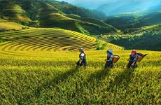 谅山省集中资源 促进少数民族和山区同胞取得突破性发展