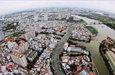 胡志明市提高外国直接投资流入的质量