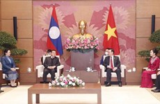 越南国会主席王廷惠与老挝国会主席赛宋蓬·丰威汉主持国会工作经验交流会