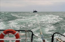 成功营救在越南海域遇险的11名渔民