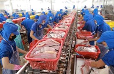 2021年越南查鱼出口金额有望达15.4亿美元