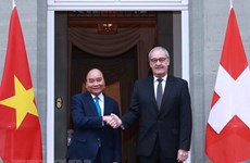越共中央对外部部长强化党际外交、公共外交和民间外交的结合