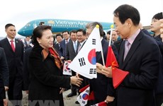 越南驻韩国大使阮武松：越南与韩国合作关系正朝着更加全面的新框架迈进 