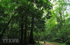 菊芳国家公园——绿色天堂