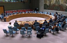 越南与联合国安理会：安理会讨论审议国际刑庭余留机制工作的运作