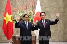 全国对外工作会议：日本外务副大臣对日越关系给予肯定