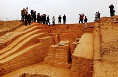 清化省胡朝城遗址发掘获新发现