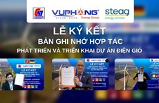 越德两国企业签署风电发展项目合作协议