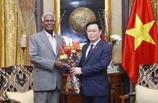 越南国会主席王廷惠会见印度各政党领导人