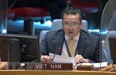 越南支持加强联合国安理会与非盟和平与安全委员会之间的合作