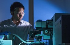 在澳越南年轻科学家荣获2021年金球科学技术奖