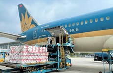 越南航空货运量强势增长超过21%