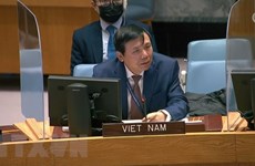 越南与联合国安理会：越南强调需要防范网络空间冲突风险