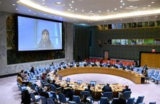 越南与联合国安理会：越南对叙利亚和埃塞俄比亚的局势表示关切